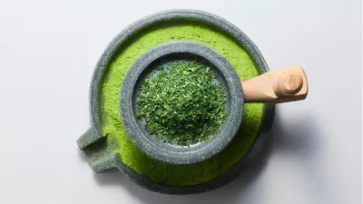 Matcha Ekstraktının Yağ Dengesini Destekleyen Bitkisel Bir İçerik Olarak Değerlendirilmesi